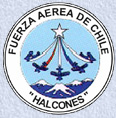 patch_halcones